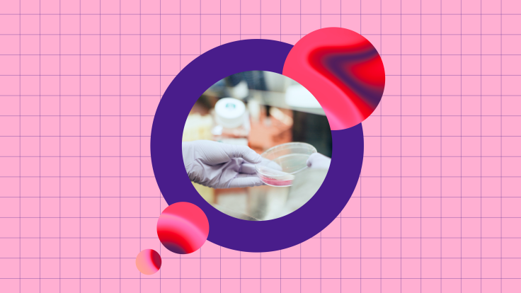 Petri dishes containing a pink liquid in a laboratory, shown in a circular crop.