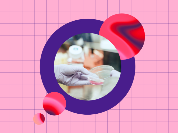 Petrischale mit rosafarbener Flüssigkeit im Labor, in einem kreisförmigen Bildausschnitt.